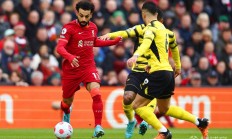 开云官方app入口-关于沃特福德连胜，瞄准欧战资格的信息