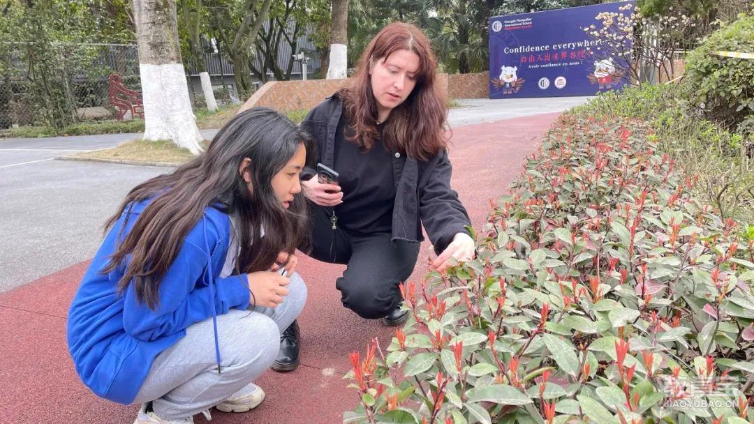 关于蒙彼利埃的团队精神让人感动的信息