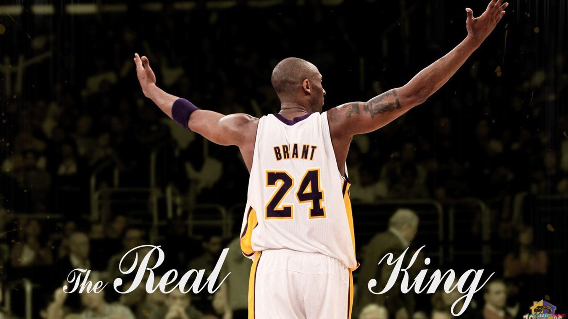 冰与火的碰撞,锡安完美发挥,吉林队如何挑战雄鹿霸权?