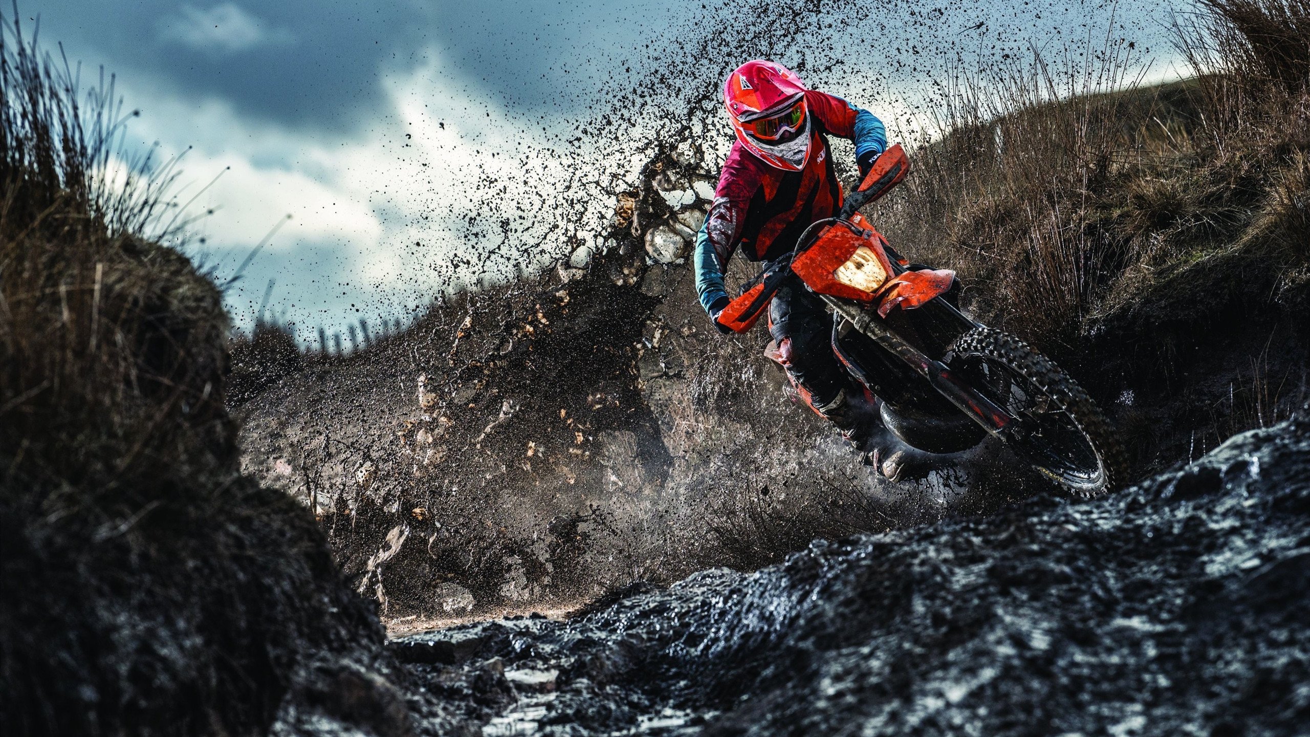 霍勒迪一剑封喉！上海队力克卫冕冠军掘金，书写亚洲篮球新篇章